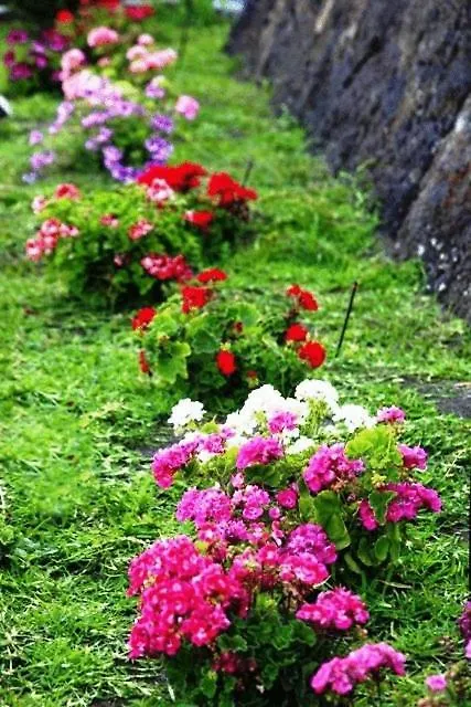 Bed & Breakfast Etna Hut Bed and Breakfast Nicolosi